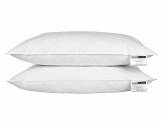 Homescapes - Almohadas de plumas de pato blanco (2 unidades, antiácaros, lavable, firmeza suave/media, funda de algodón)