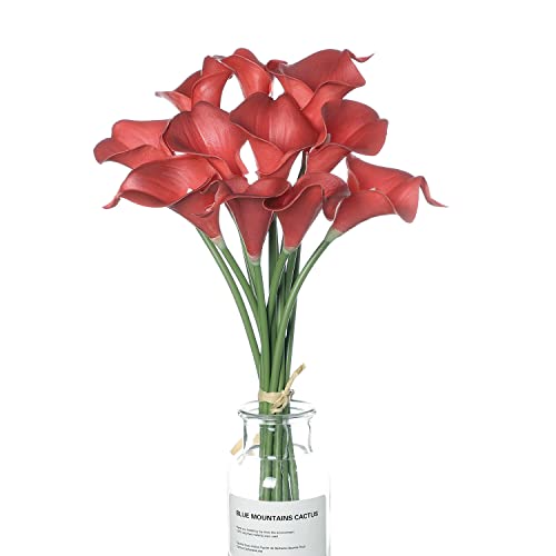 huaao 12pcs Lirios de Cala Flores Artificiales Rojos en Latex, Flores Falsos Realista Decoración Aniversario, Matrimonio, Boda, Hogar, Fiesta, Oficina, Arreglos Florales, Bouquets Flor Nupcial