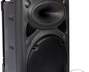 Ibiza Sound PORT12VHF- BT Sistema de Sonido portátil y autónomo de 12"/30 cm, USB, Bluetooth, 700 W, Negro