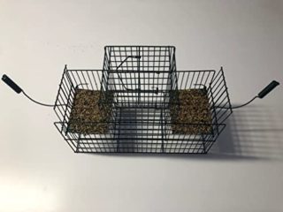 JAULA TRAMPA BALANCÍN PAJAROS VERDE