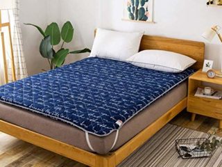 jhgsdh 4CmSingle Double Thickened Soft Tatami Futon Colchón, Colchón de Suelo Plegable portátil para Dormitorio en casa al Aire Libre-c 90x200cm (35x79inch)