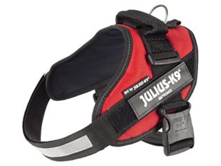 JULIUS-K9 IDC Arnés para perros, talla 0/M, 58–76 cm, peso 14-25 kg, Rojo,