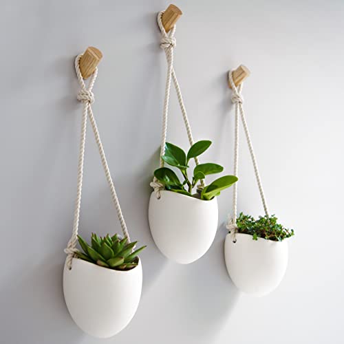 KAZAI.® | Jarrones de Pared de Porcelana | Juego de 3 Piezas | Incluye Ganchos de Madera | Blanco Mate