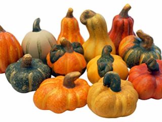 khevga Calabazas decorativas de terracota, juego de 12 unidades