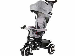 Kinderkraft Triciclo Evolutivo ASTON, Cabina desplegable, Cinturón, 9 Meses a 5 Años, Gris