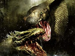 Komodo vs. Cobra