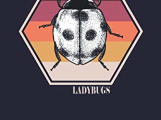 Ladybug journal