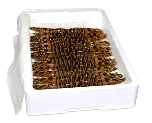 Langostino, HUELVAMAR, VIVO, 30/40 piezas por kilo - Caja de1 kg.