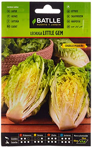 Lechuga LITTLE GEM - COGOLLO