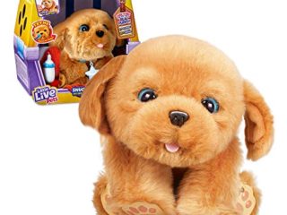 Little Live Pets- Famosa 700013210 - Sleepy Puppy, versión Española