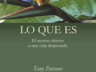 Lo Que Es: El secreto abierto a una vida despertada (Advaita)