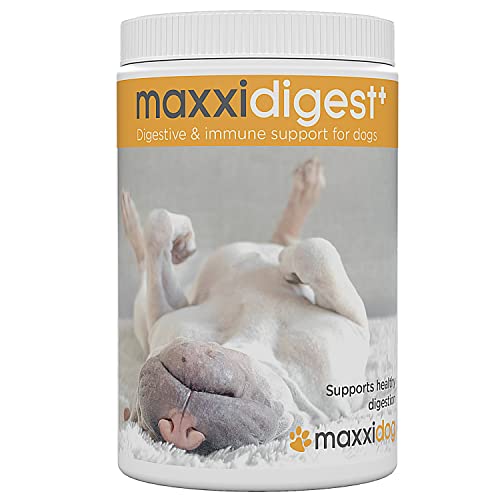 maxxidog – maxxidigest+ Probióticos, prebióticos y enzimas digestivas para Perros - Ayuda Avanzada a la digestión Canina & al Sistema inmunológico - Sin Polvo OGM - Dos tamaños 375 g