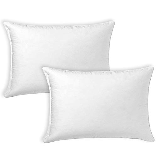 MERCURY TEXTIL- Relleno de Cojin Juego de 2/4 Unidades Super Suave Mullido, Antialergico, Fibra Hueca de Alta recuperacion, para Sofá,Cama,Coche (2 Rellenos, 50X70 cm)