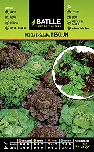 Mezcla de Ensaladas MESCLUM