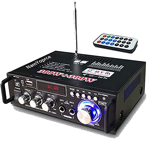 Mini Bluetooth Amplificador Audio, 600W HiFi de 2.0 Canales Audio Stereo Music Reproductor, SD Card/USB Input/ FM Radio, para PC, TV, Amplificador Coche, casa Altavoz, subwoofer BT 12v 220V
