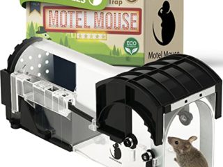 Motel Mouse Trampa para Ratones Sin Muerte - Altamente Sensible - Fácil de Usar - Seguro para Mascotas y niños - Reutilizable - Sin Mecanismo de liberación táctil…