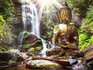 murando Fotomurales 350x256 cm XXL Papel pintado tejido no tejido Decoración de Pared decorativos Murales moderna de Diseno Fotográfico Natur Buda Zen Spa Bosque Cascada h-C-0033-a-b