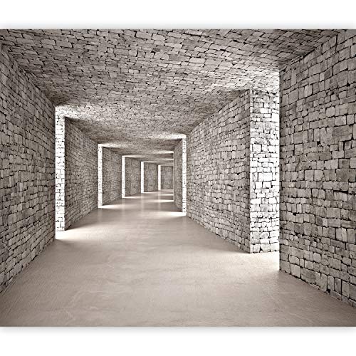 murando Fotomurales 3D Tunel 400x280 cm XXL Papel pintado tejido no tejido Decoración de Pared decorativos Murales moderna Diseno Fotográfico Textura Pared Ladrillo d-B-0332-a-a