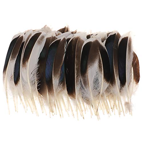MWOOT 200 Plumas Bricolaje, Azul Plumas de Pato para Ropa Carnaval, Disfraces Halloween, Sombreros Hogar Boda Partido Decoración, 8-13cm Plumas de Decoración,DIY Craft feathers