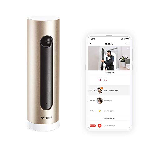Netatmo Cámara de Vigilancia Interior WIFI, Detección de movimientos, Visión Nocturna, Sin Costo Adicional, NSC01-EU (Welcome)