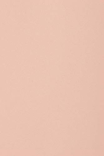 Netuno 20x cartón colorado color rosa claro DIN A4 210x297mm 250g Burano Rosa papel ideal para impresora scrapbooking manualidades embalajes regalos tarjetas cartas invitaciones boda comunión Navidad
