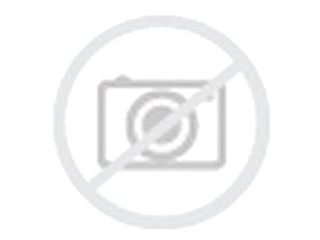 NEUMÁTICO VIKING PROTECH NG 255 55 R18 109Y VERANO TL XL PARA COCHES