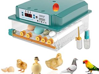 New Vida Incubadora de Huevos de 16 Huevos Máquina nacedora Huevo Giratorio automático de Temperatura Ajustable para Huevos de gallina