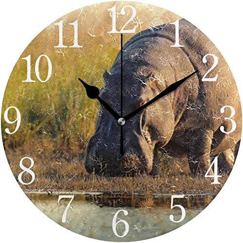NIUMM Reloj De Pared Reloj De Pared Silencioso Mallorca Amanecer En La Playa De Magaluf Palmanova Reloj Redondo De Acrílico Silencioso