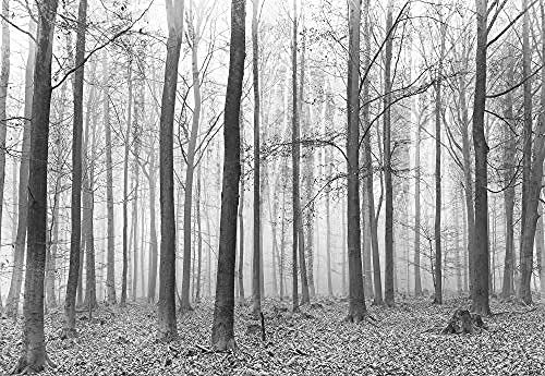 Papel Pintado 3D Blanco Y Negro Bosque Papel Pintado Mural De Pared Bosque Y Árboles Sala De Estar Dormitorio Tv Sofá Fondo De La Pared Papel Pintado 3D-430Cmx300Cm