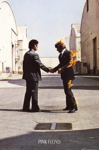 Pink Floyd Wish You Were Here - Póster (11 x 17", 28 x 43 cm)