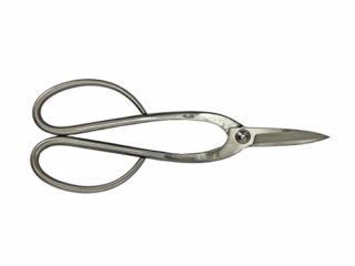 Planeta Huerto Bonsái Tijera Mediana Curva 200 mm INOX Ryuga