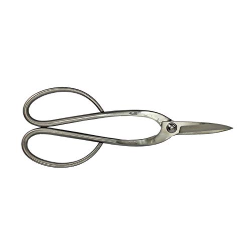 Planeta Huerto Bonsái Tijera Mediana Curva 200 mm INOX Ryuga
