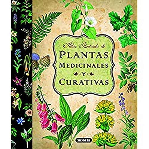 Plantas Medicinales Y Curativas (Atlas Ilustrado)