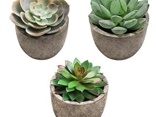 Plantas Suculentas Falsas, 3 Piezas Mini Plantas Suculentas Falsas, Suculentas Falsas Decorativas, Suculentas Plástico Artificial, para Sala de Estar, Dormitorio, Estantería Decoración