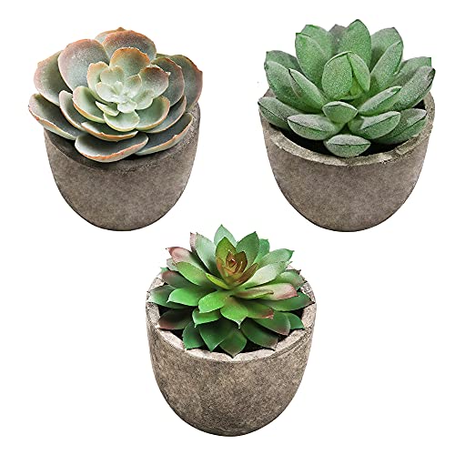 Plantas Suculentas Falsas, 3 Piezas Mini Plantas Suculentas Falsas, Suculentas Falsas Decorativas, Suculentas Plástico Artificial, para Sala de Estar, Dormitorio, Estantería Decoración