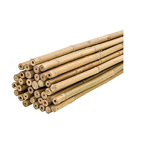 PLANTAWA Tutores de Bambú, Tutores de Bambú Ø 6-8 mm, Paquete 25 Unidades, Uso Agrícola para Sujetar Plantas, Hortalizas y Árboles (180cm)