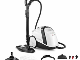 Polti Vaporetto Smart 120 Limpiador a Vapor con Caldera de Alta Presión, 4 bar, Calentamiento en 2 minutos, Autonomía Ilimitada, mata y elimina el 99,99%* de virus, gérmenes y bacterias, 14 accesorios
