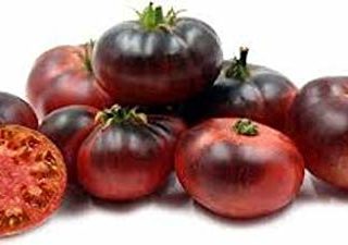 Portal Cool Tomate Indigo, azul, dulce, semillas semi, semi 30, tomate