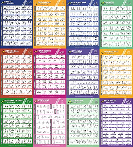 Profit deporte ejercicio gimnasio casa -12 carteles fitness , laminas plastificadas para ejercicio para hombres y mujeres , posters para trx , bandas elásticas , yoga , pesas rusas , mancuernas.