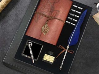 Quill - Juego de bolígrafos y tinta para caligrafía de plumas antiguas, incluye pluma de pluma, 5 puntas de repuesto, base de pluma, cuaderno, tinta, el mejor regalo para hombres y papá (azul)