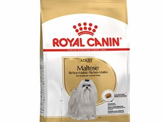 Royal Canin Maltese 24 - Comida para bichón maltés, seca, 1,5 kg