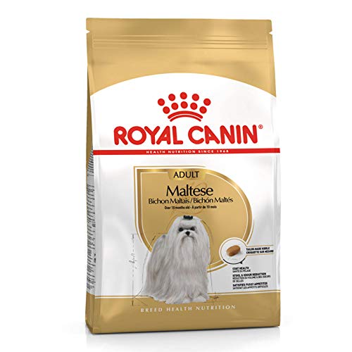 Royal Canin Maltese 24 - Comida para bichón maltés, seca, 1,5 kg