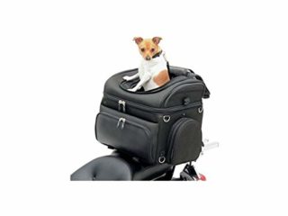 Saddlemen Pet Voyager bolso para moto para el transporte de perro