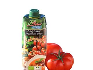 SALMOREJO FRESCO 500 ML BIO