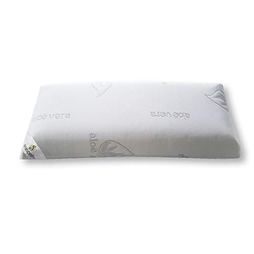 Seasons Almohada viscoelastica 90 cms, Antiácaros y Antibacterias, Tejido Aloe Vera Hilo de Plata.Doble Funda, Tratamiento Ozono