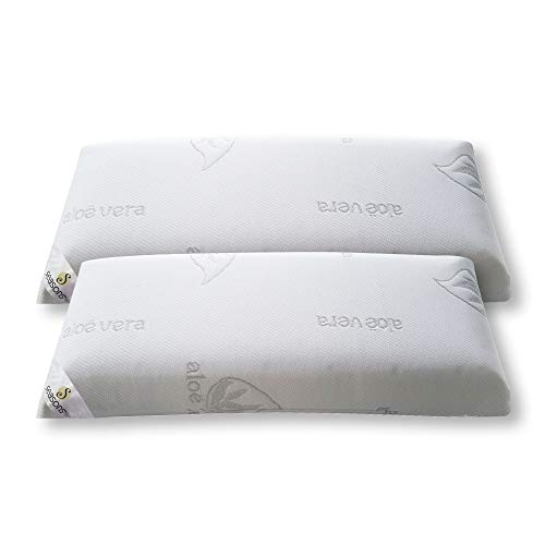 Seasons Pack 2 Almohadas viscoelasticas 70 cms, Antiácaros y Antibacterias, Tejido Aloe Vera Hilo de Plata.Doble Funda, Tratamiento Ozono, 2 Unidad (Paquete de 1)
