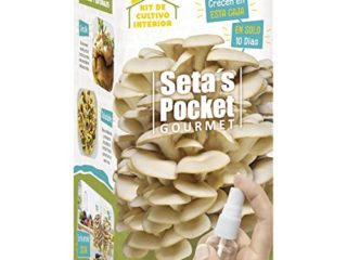 SETAS POCKET - Kit de SETAS AUTOCULTIVO - Cultivar setas en casa en solo 10 días.