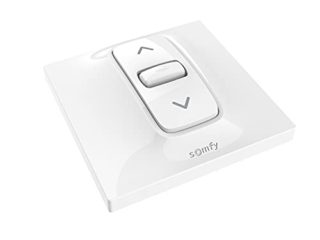 SOMFY 1870881 - Interruptor de posición Fijo cableado para persianas o persianas motorizadas Inis, para Pedir 1 Motor cableado, Blanco