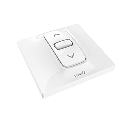 SOMFY 1870881 - Interruptor de posición Fijo cableado para persianas o persianas motorizadas Inis, para Pedir 1 Motor cableado, Blanco