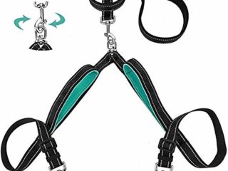Szelam Plomo doble para perros, separador de correa doble sin enredos con cómodas asas acolchadas para entrenar y caminar 2 perros, correas reflectantes ajustables para perros medianos y grandes